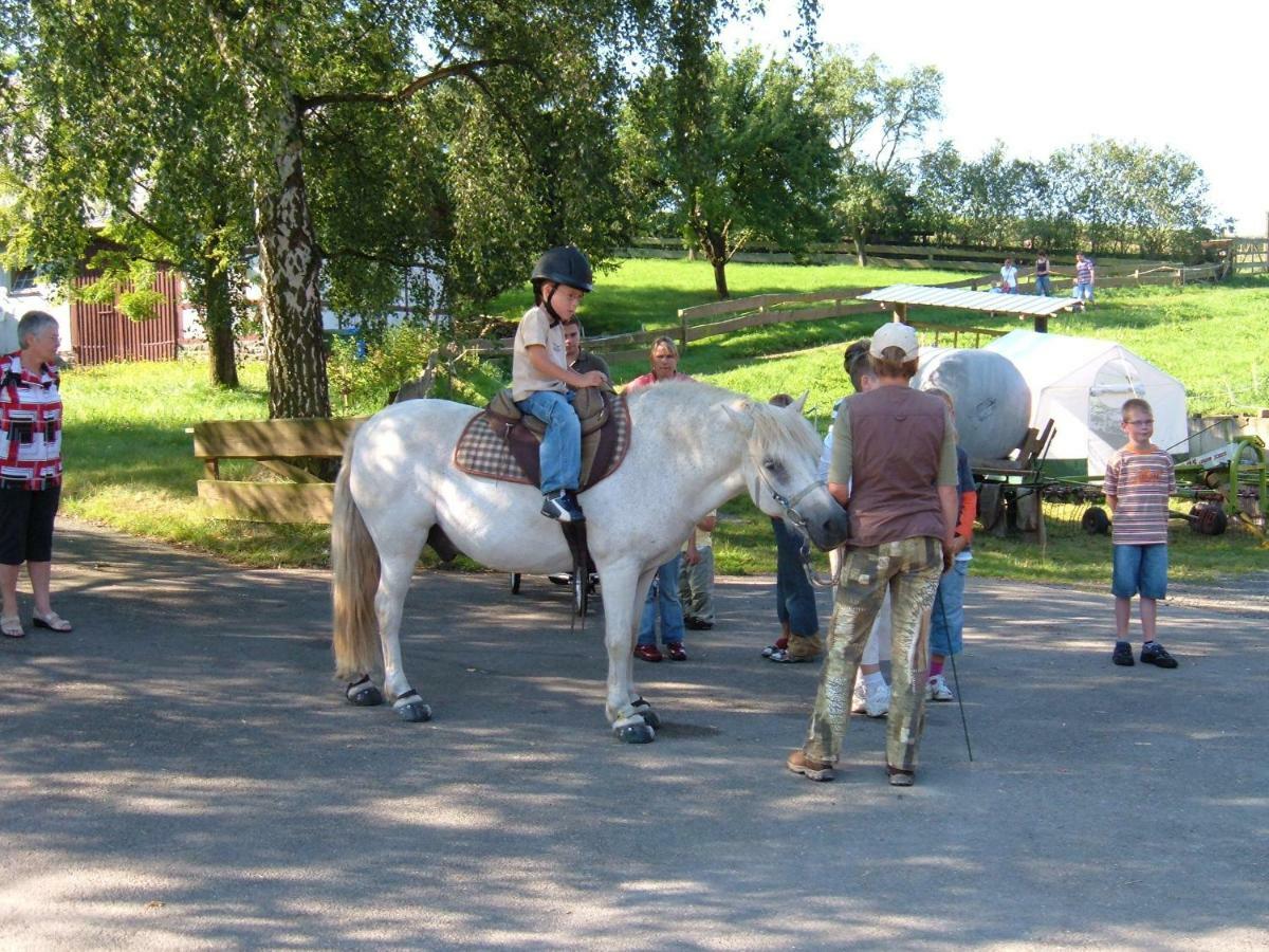 Ferienwohnungen Finke Frankenau Kültér fotó