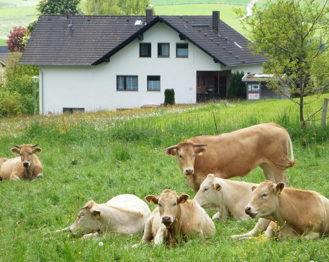 Ferienwohnungen Finke Frankenau Kültér fotó